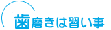 歯磨きは習い事